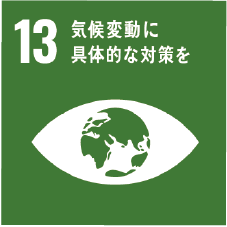 SDGs11