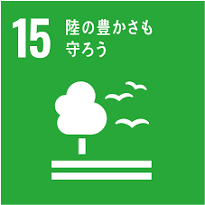 SDGs11