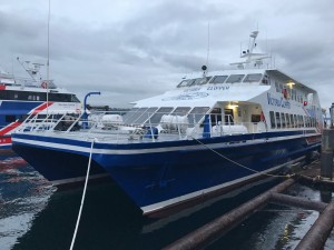 IMG_8537