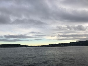 海