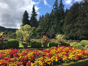 IMG_8697