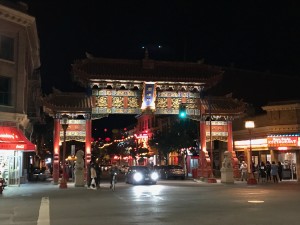 IMG_8787