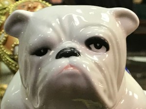 IMG_8801