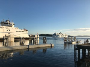 IMG_8902