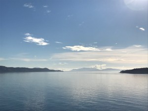 IMG_8950