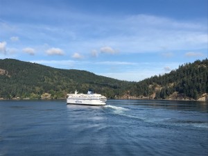 IMG_9011
