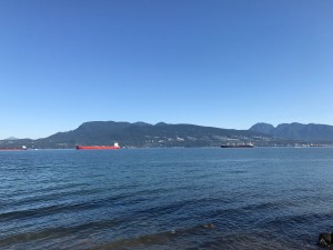 IMG_9119