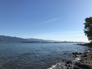 IMG_9123