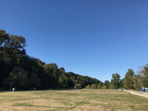 IMG_9137