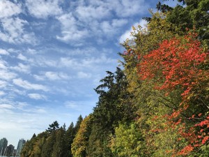 IMG_9294