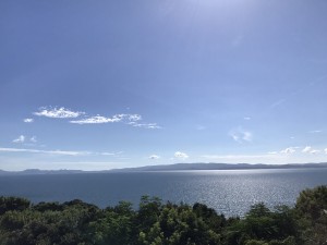 IMG_0898