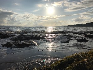 IMG_1022