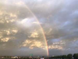 IMG_7469
