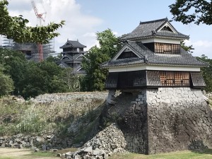 IMG_7509