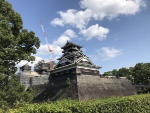 IMG_7524