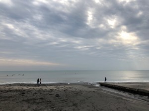 IMG_9455