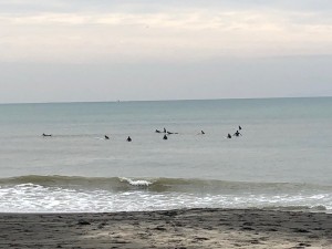 IMG_9457