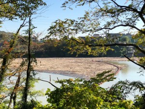 IMG_9511
