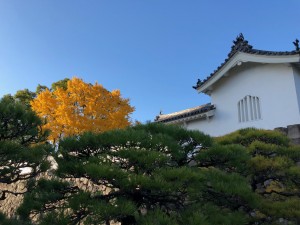 IMG_9837