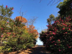 IMG_9891