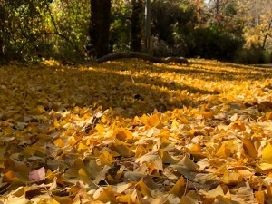 IMG_9893