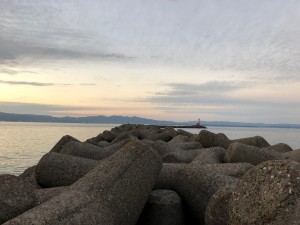 IMG_9925